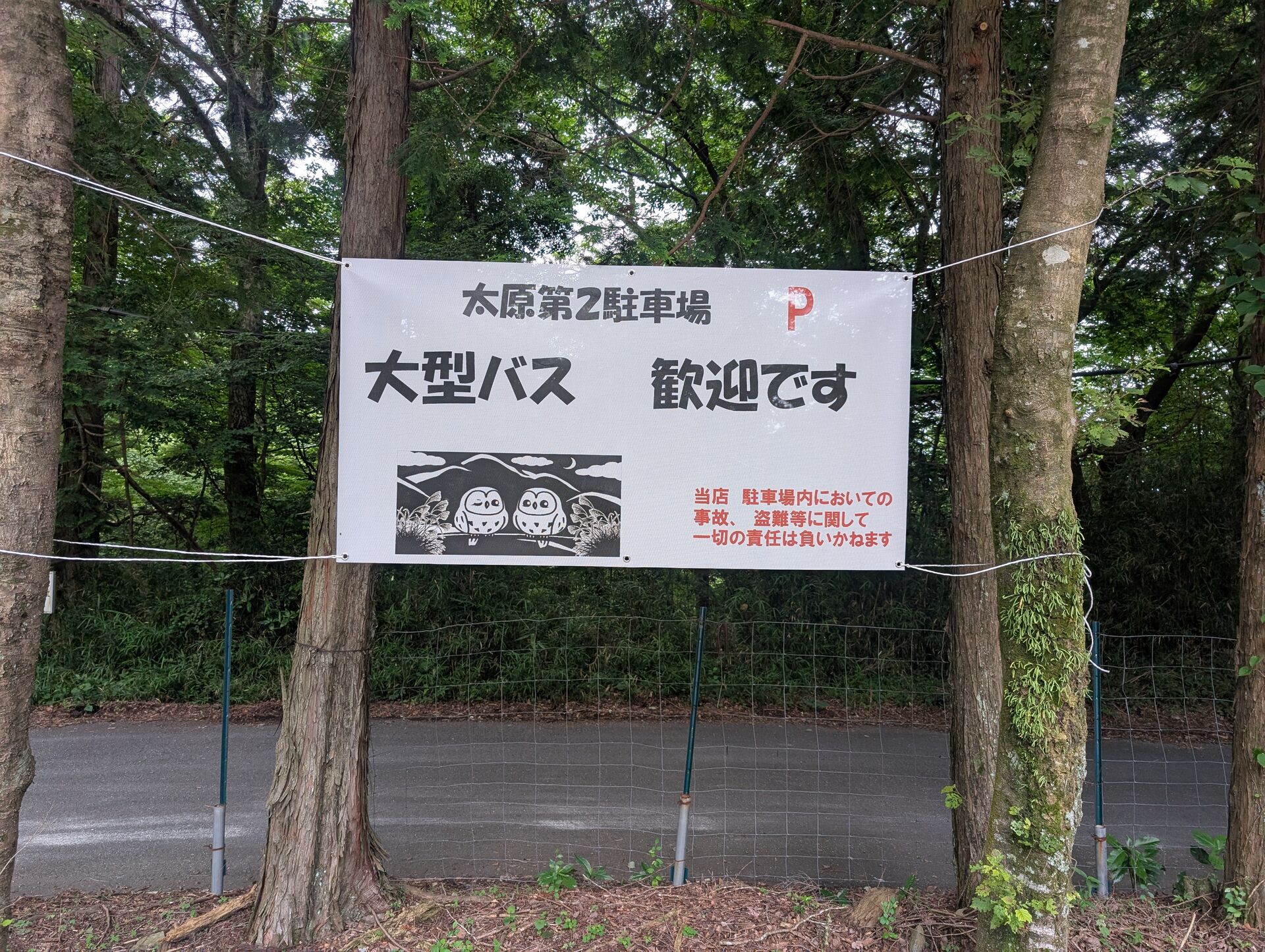 バス　駐車場